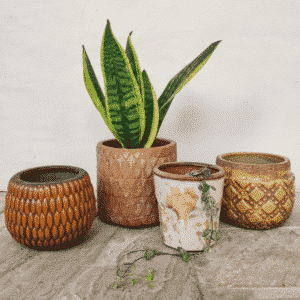 Cache pot miel