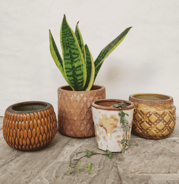 Cache pot miel