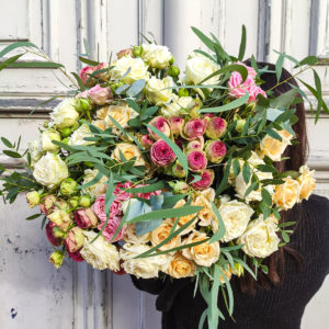 Roses branchues