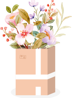 Box bouquets Box bouquets